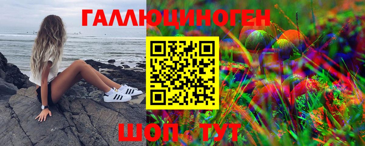 Псилоцибиновые грибы Psilocybine cubensis  Вход с VPN  Котлас 